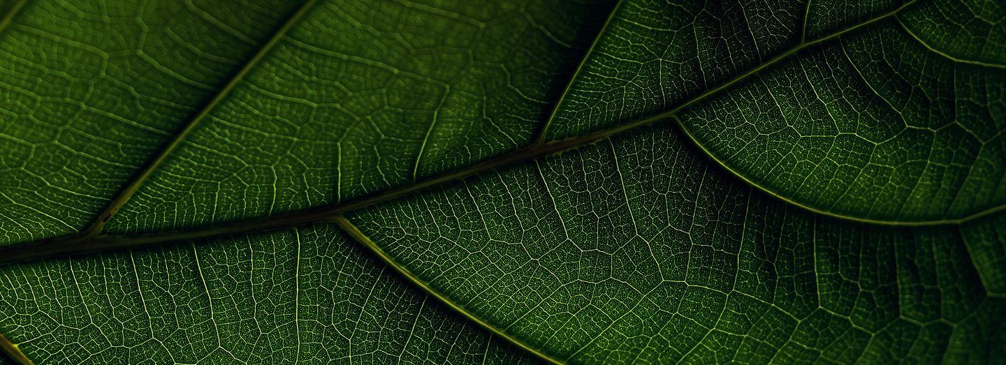 Relatório de Sustentabilidade
Frimesa 2024
