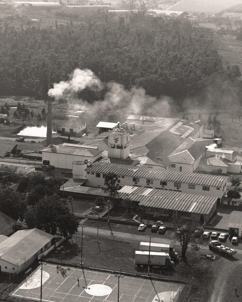 Industrialização de carnes e lácteos