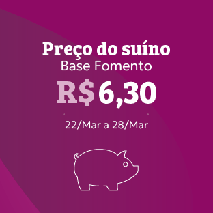 Preço do suíno