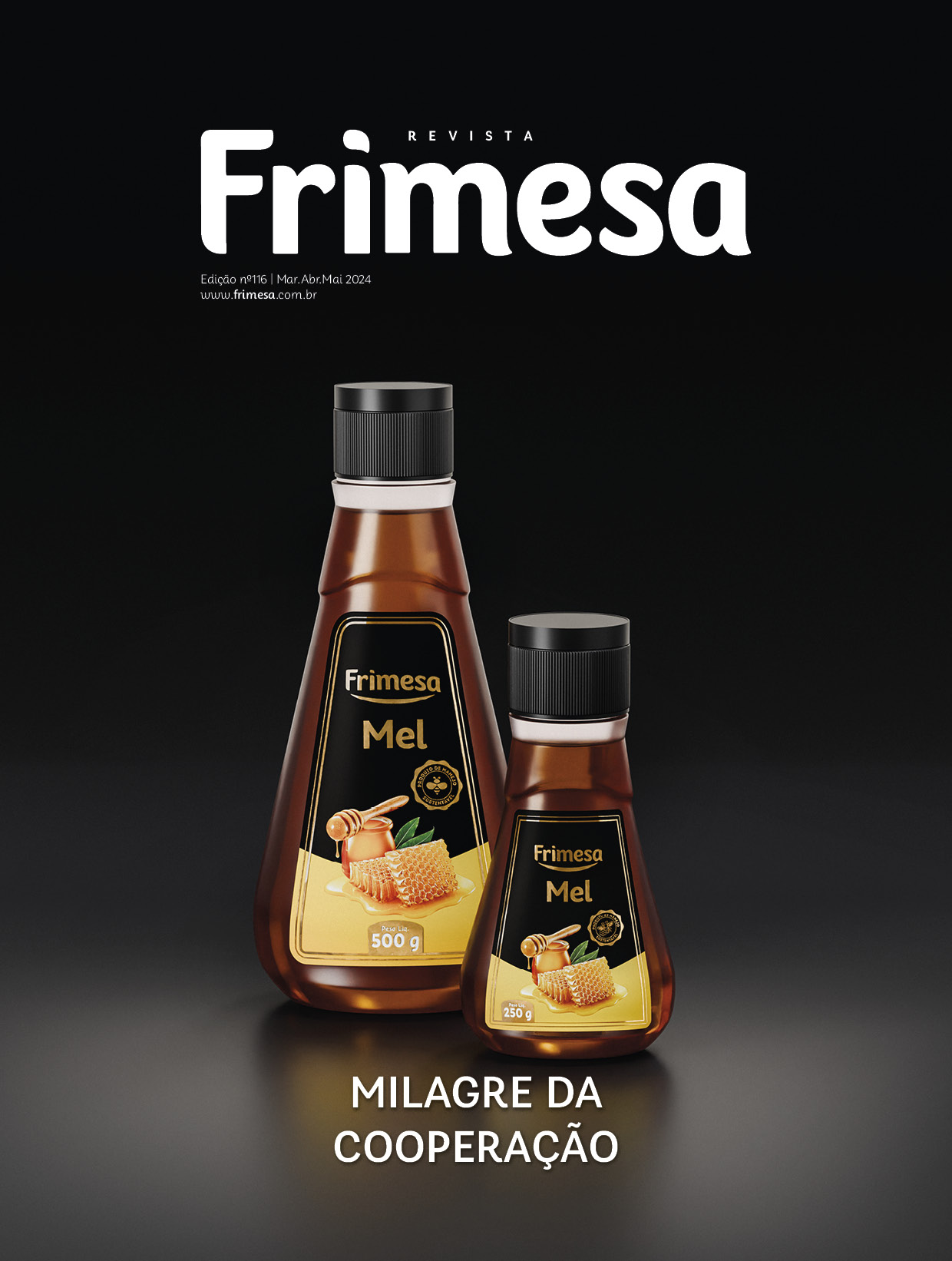 Revista 116